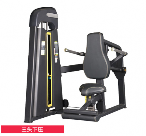 X-RIVALFITNESS 健身房商用力量器械 三頭下壓訓(xùn)練器