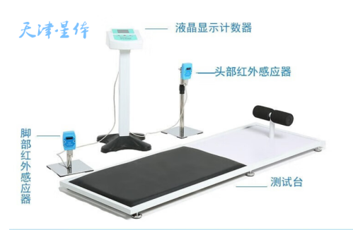 仰臥起坐測試儀 學(xué)生中考專用體考標(biāo)準(zhǔn)器材體側(cè)智能