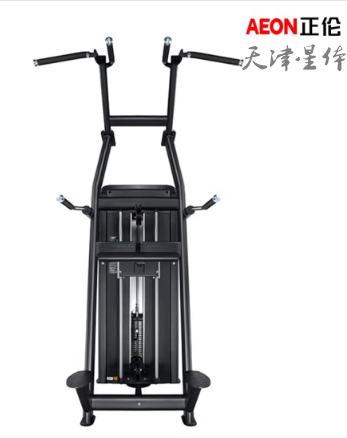 AEON CS-813 輔助式引體向上訓(xùn)練器胸部肌肉肱二肌斜方肌