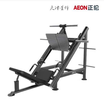 正倫GS-753 45度倒蹬訓(xùn)練器