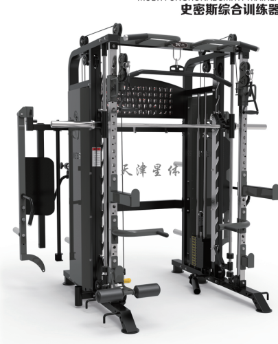 X-RIVAL-FENGXING史密斯綜合訓(xùn)練器dy-9000
